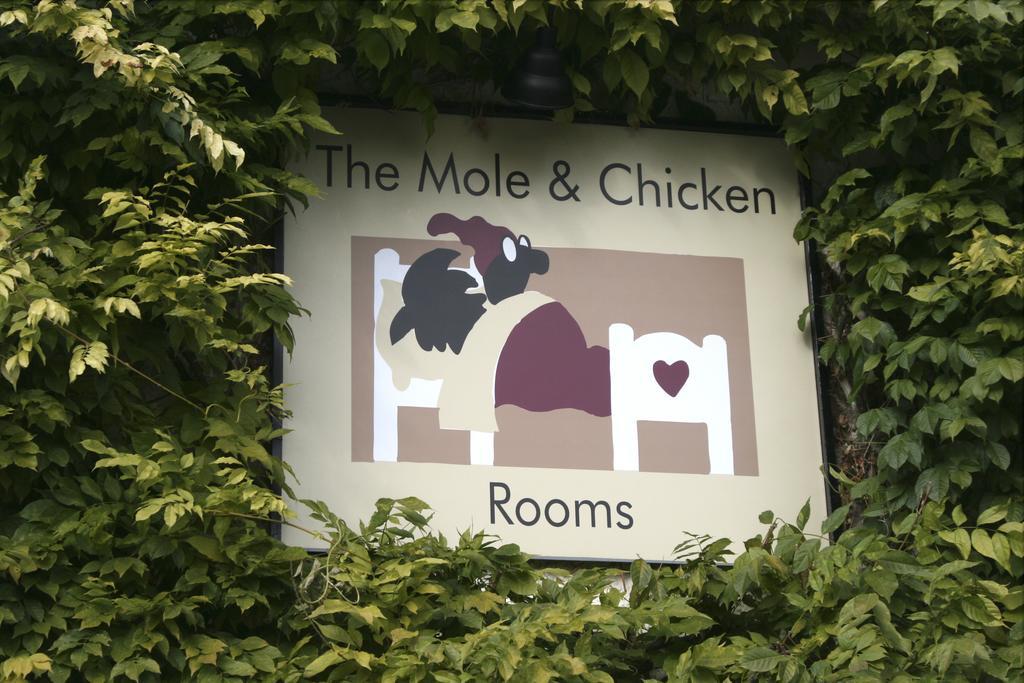 The Mole And Chicken Hotell Long Crendon Exteriör bild