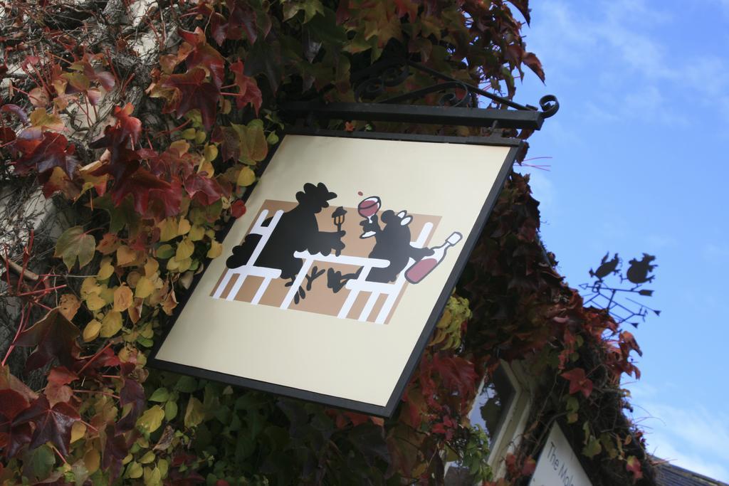 The Mole And Chicken Hotell Long Crendon Exteriör bild