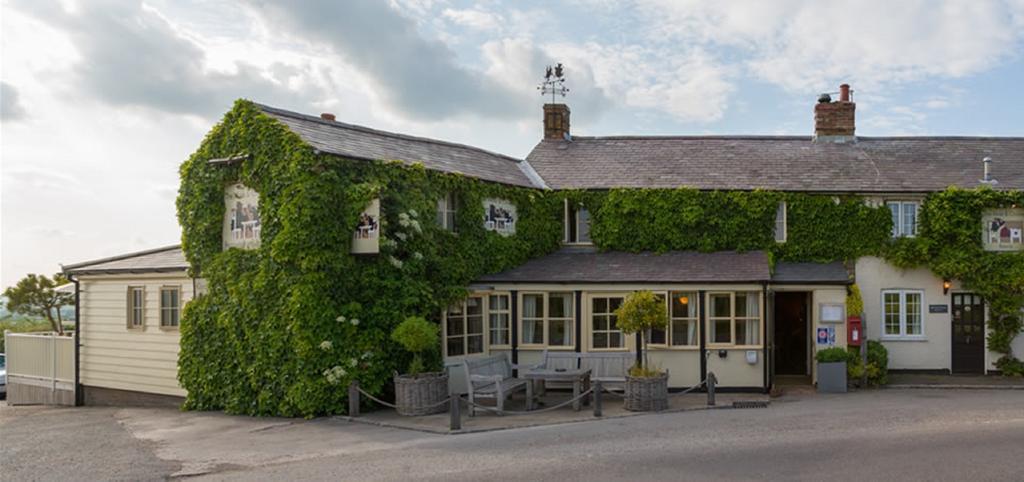 The Mole And Chicken Hotell Long Crendon Exteriör bild